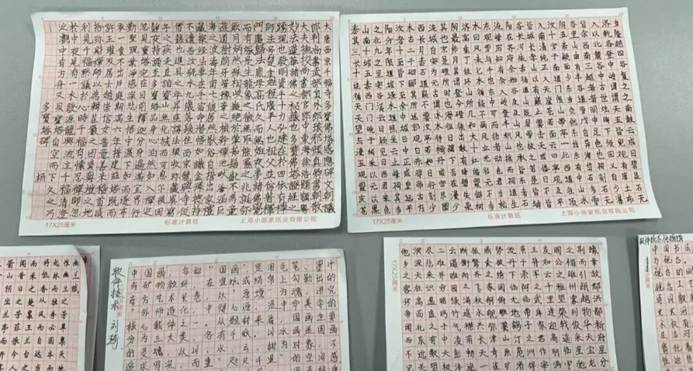 图片包含 游戏机 AI 生成的内容可能不正确。